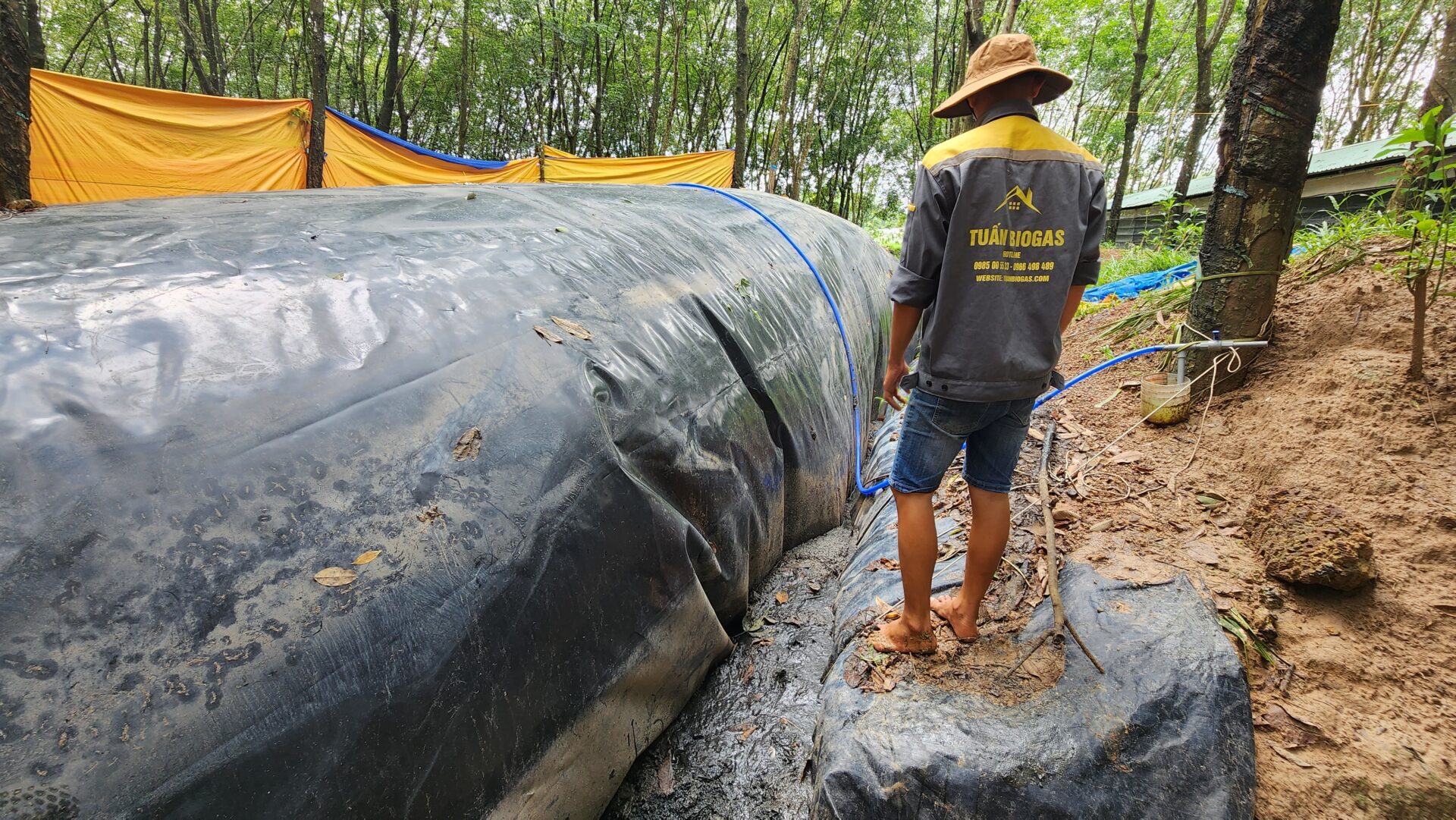 Thi công hầm biogas trang trại