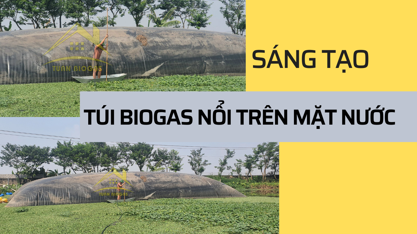 Sáng tạo cách làm mới túi biogas nổi trên mặt nước năm 2022